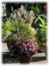 container-landscaping-thumbnail-image