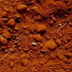 testing-your-soil-thumbnail-image