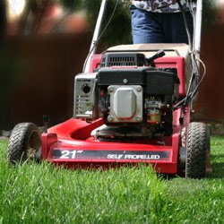 fixing-compacted-lawns-thumbnail-image