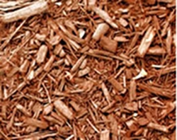 the-many-benefits-of-mulching-thumbnail-image